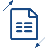 Financial Statement Filing