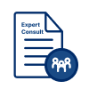 Expert Tax Consultation