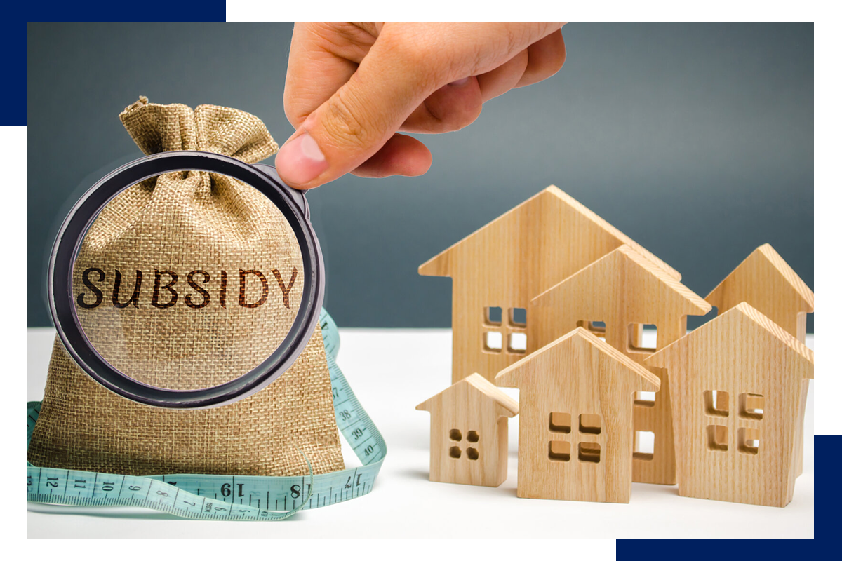 Subsidy Consultancy