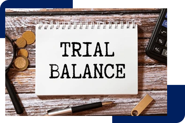 Trial Balance Preparation Services