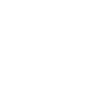audit-img